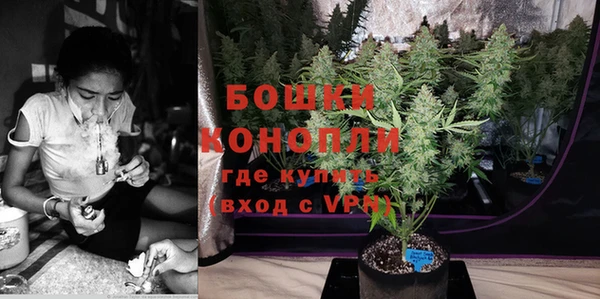 экстази Богданович
